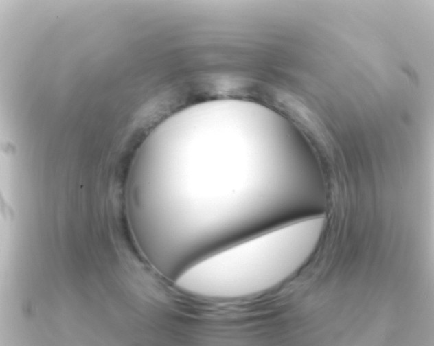X0000091240461200708091134