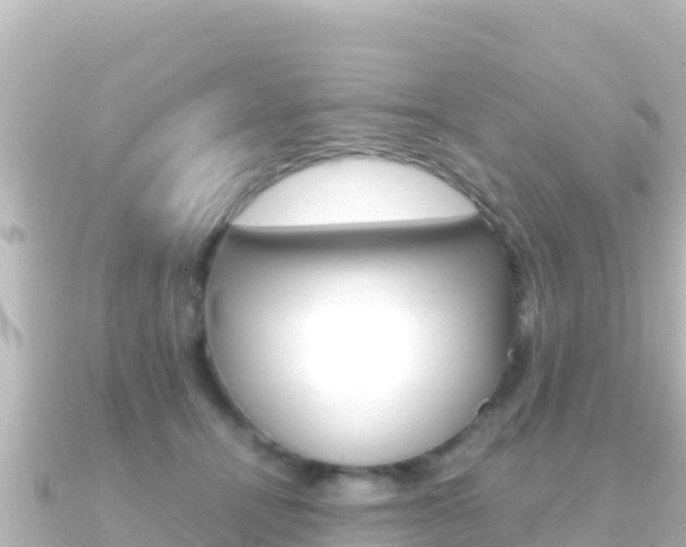X0000091240464200708091134