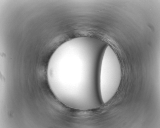 X0000091240465200708091134
