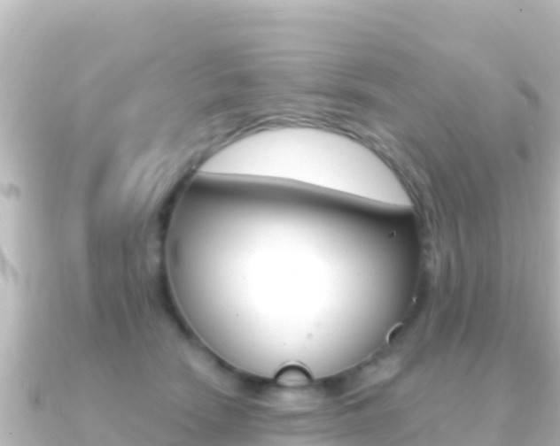 X0000091240466200708091134