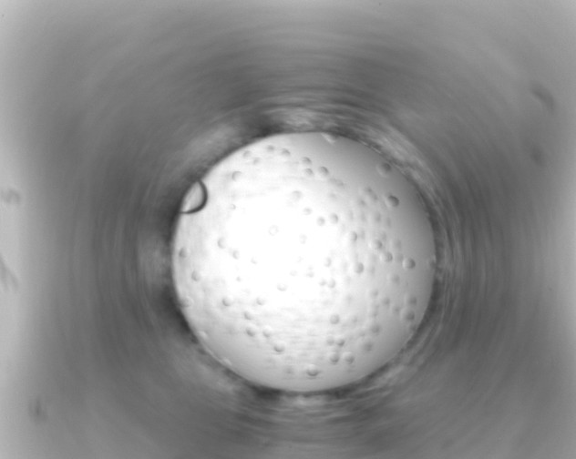 X0000091240469200708091134