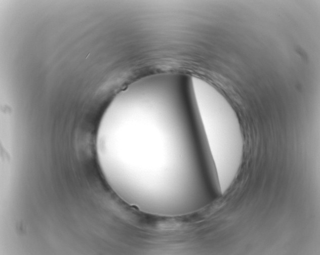 X0000091240470200708091134