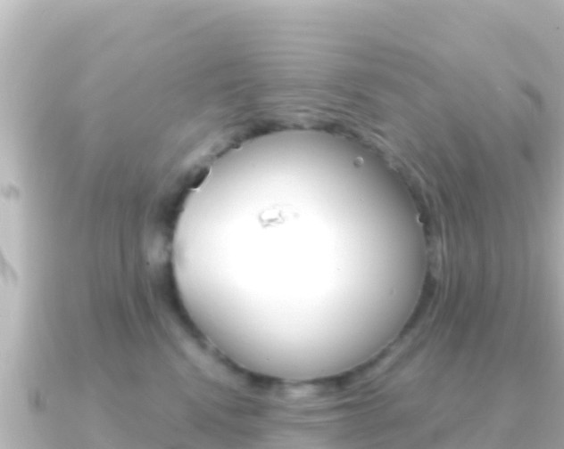 X0000091240472200708091134