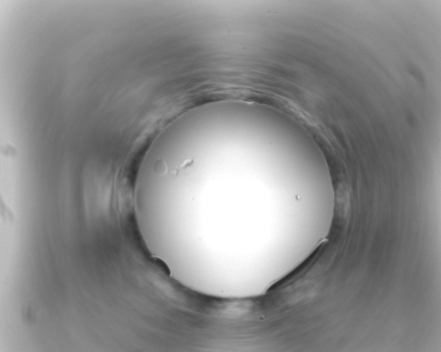 X0000091240474200708091134