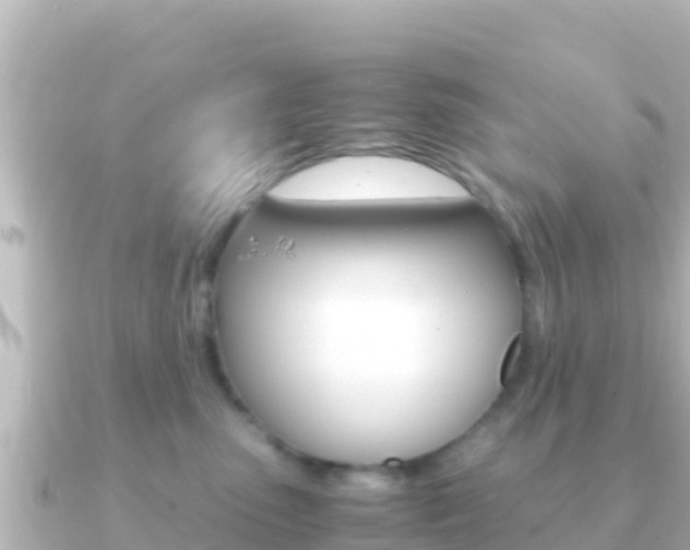 X0000091240475200708091134