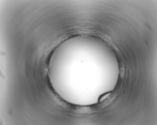 X0000091240476200708091134