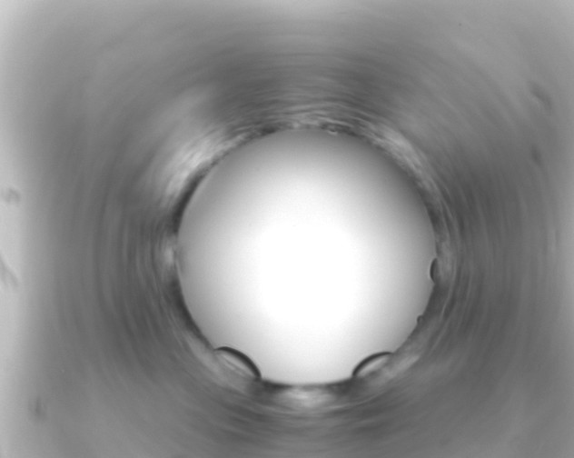 X0000091240477200708091134