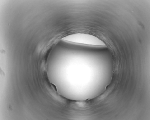 X0000091240478200708091134