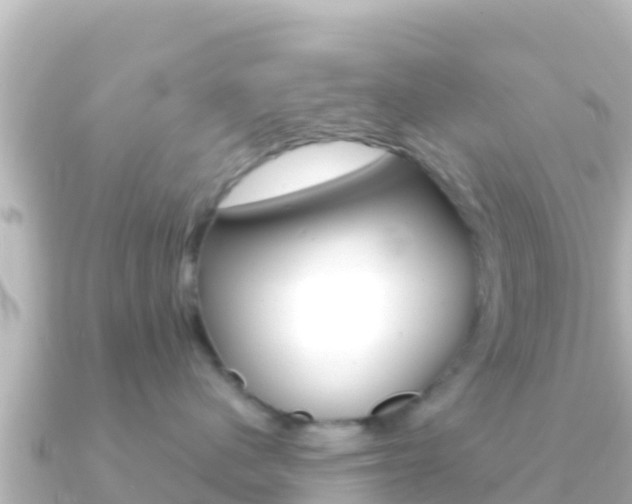 X0000091240480200708091134