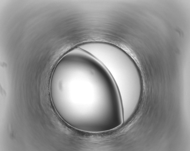 X0000091240481200708091134