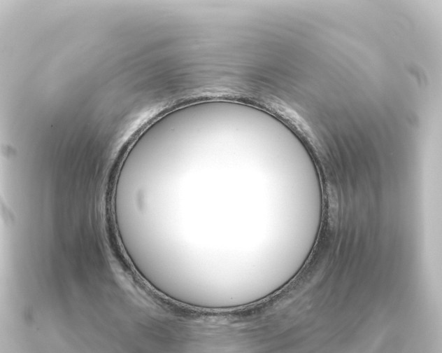 X0000091240482200708091134