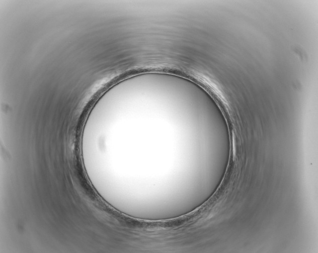 X0000091240483200708091134