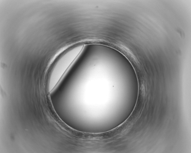 X0000091240484200708091134