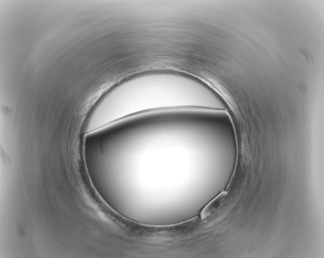 X0000091240485200708091134