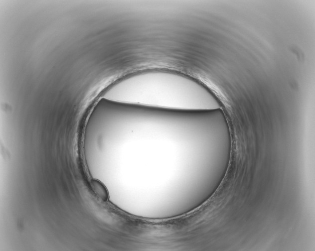 X0000091240486200708091134