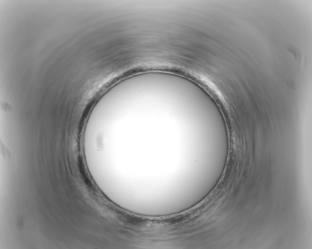 X0000091240487200708091134