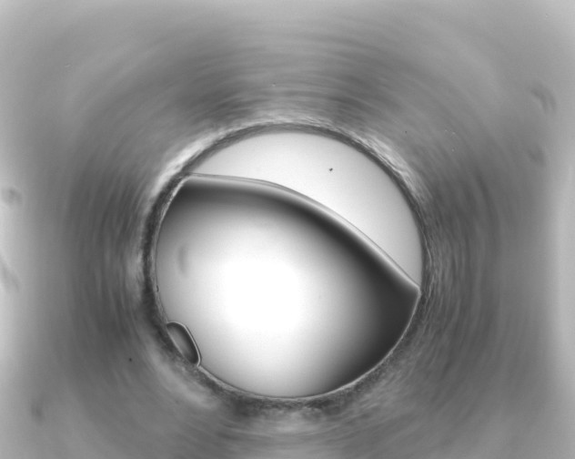 X0000091240488200708091133