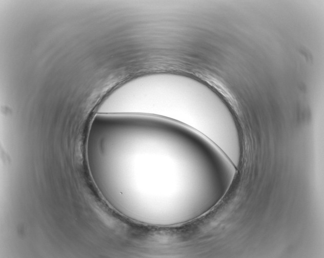 X0000091240489200708091133