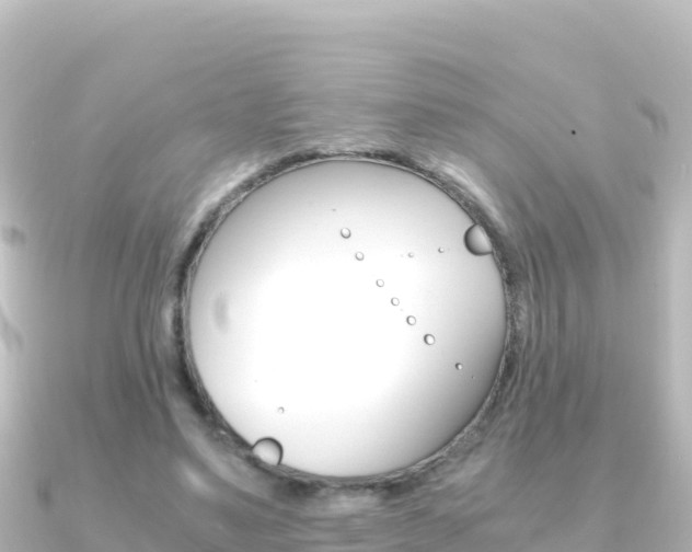 X0000091240491200708091133