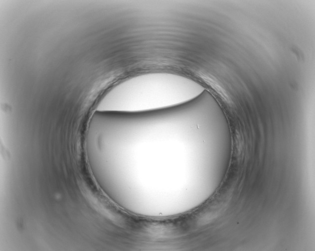 X0000091240494200708091133