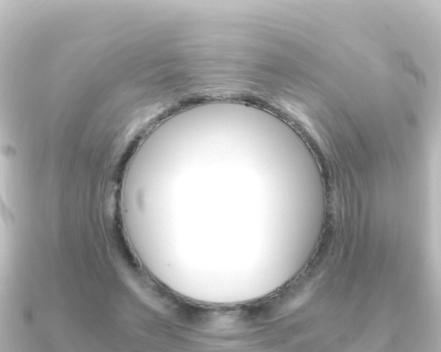 X0000091240495200708091133