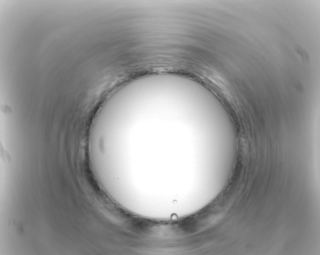 X0000091240499200708091133