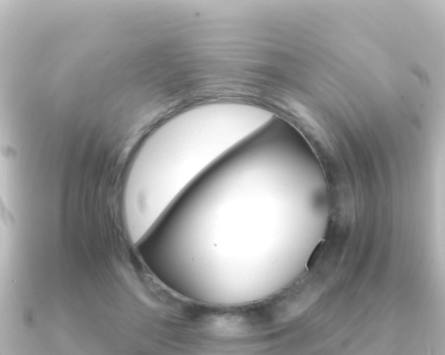 X0000091240500200708091133
