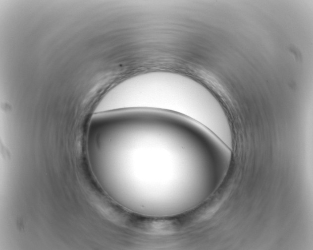 X0000091240501200708091133
