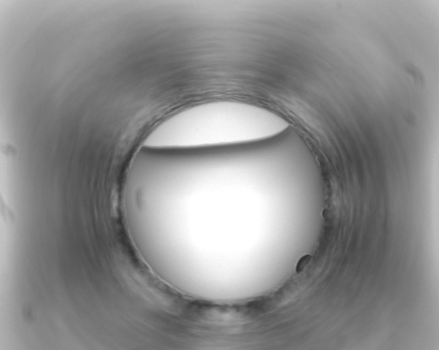 X0000091240502200708091133