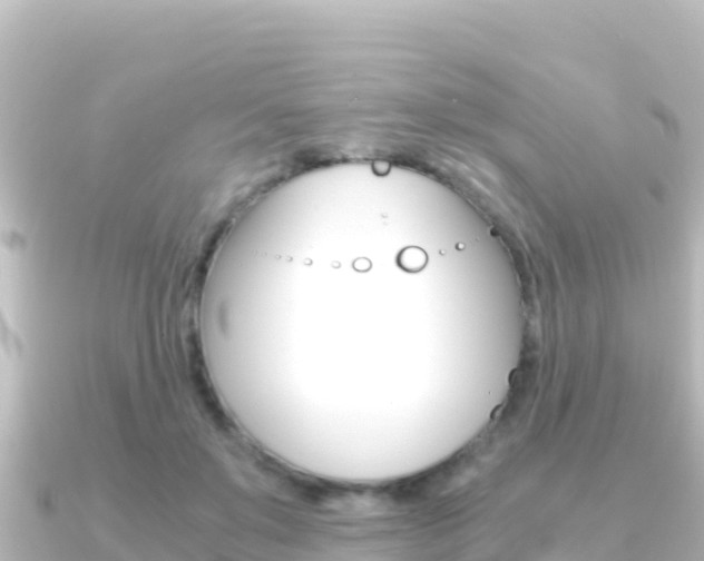 X0000091240503200708091133