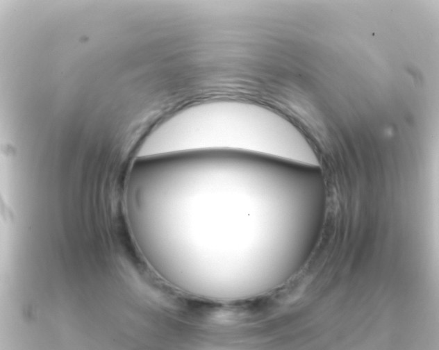 X0000091240504200708091133