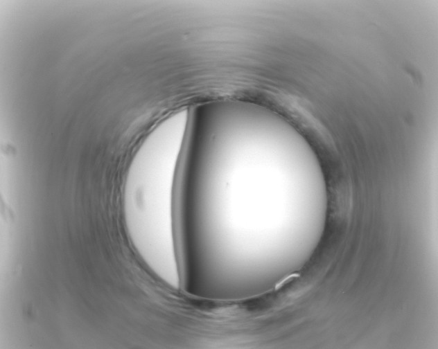 X0000091240505200708091133