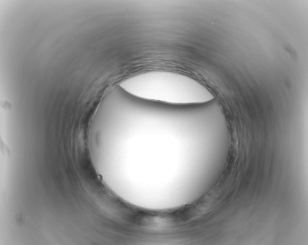 X0000091240506200708091133