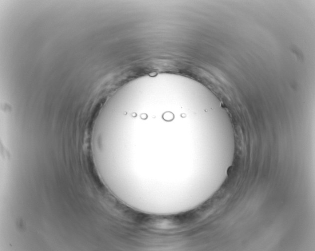 X0000091240507200708091133