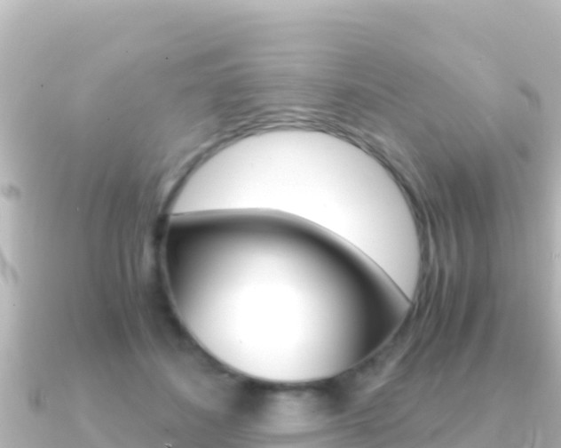 X0000091240508200708091133