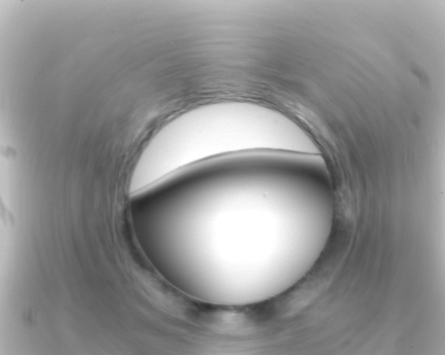 X0000091240509200708091133