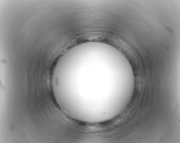 X0000091240510200708091133