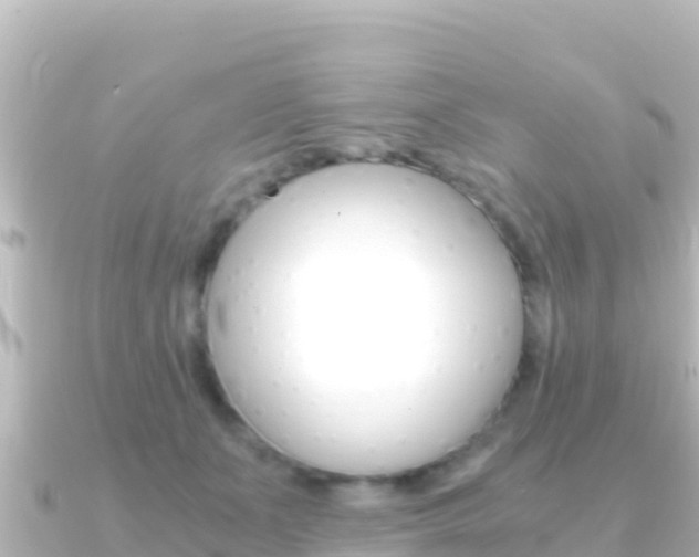 X0000091240511200708091133