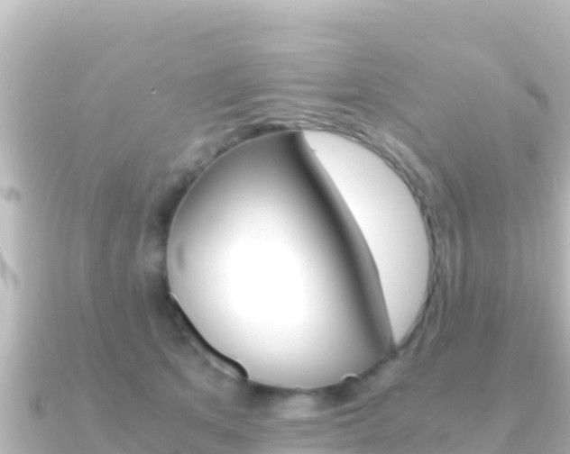 X0000091240513200708091133