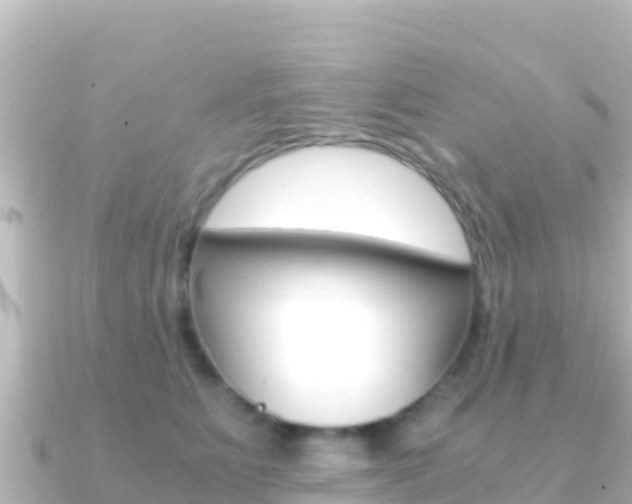 X0000091240515200708091133