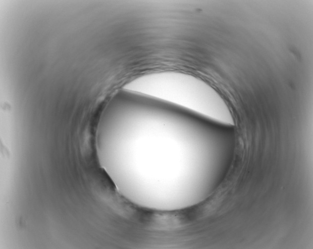 X0000091240520200708091133
