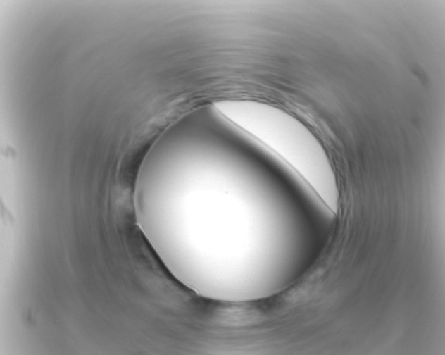 X0000091240521200708091133