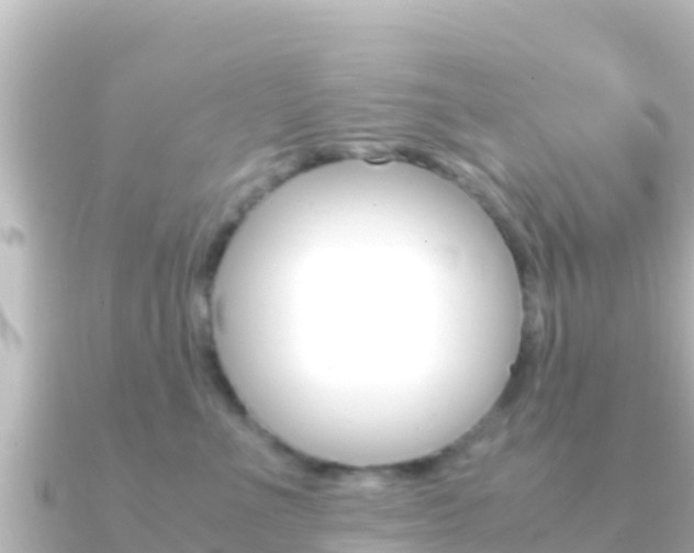 X0000091240523200708091133