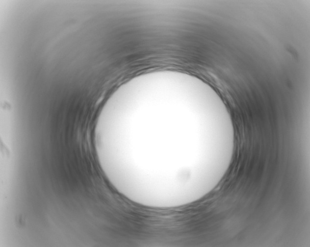 X0000091240524200708091133