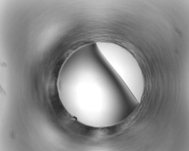 X0000091240525200708091133