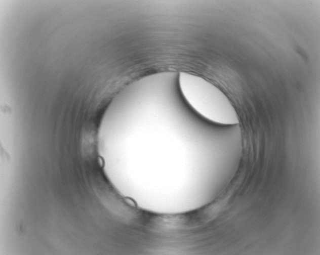 X0000091240526200708091133