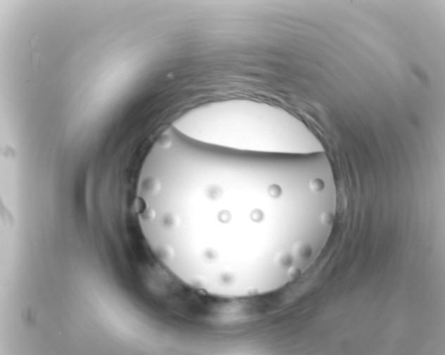 X0000091240527200708091133