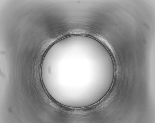 X0000091240529200708091132