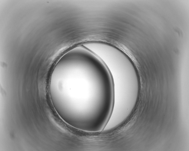 X0000091240530200708091133