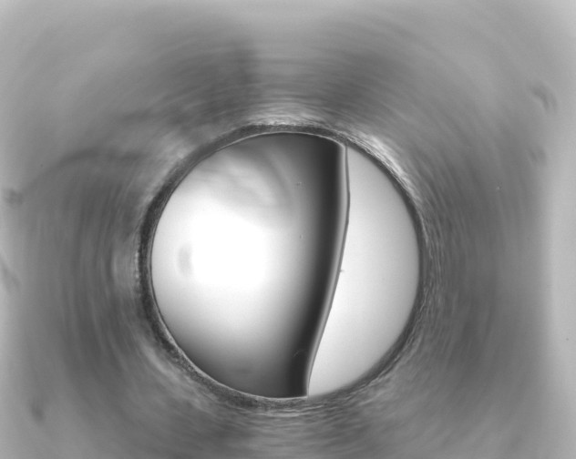 X0000091240531200708091133